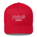 Twin Fin Trucker Hat